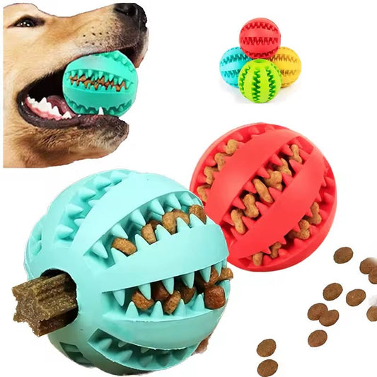 Boule à macher pour chien